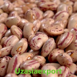 Natural light speckled- kidney beans